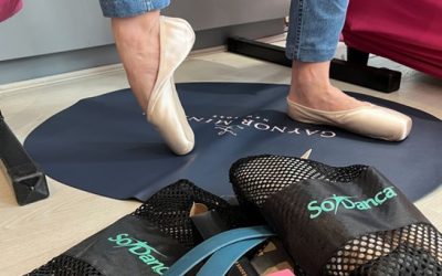 Nouveauté : Les pointes SoDança Alina