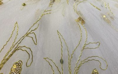 L’ Art du costume de danse