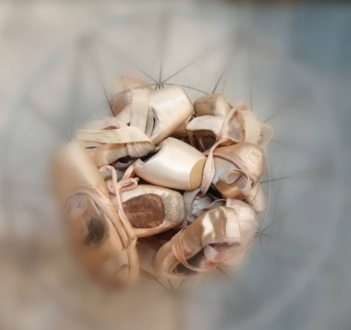 Demi Pointes Et Pointes