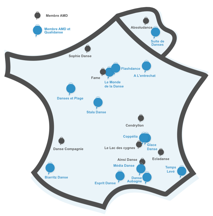 Carte réseau Qualidanse 2024